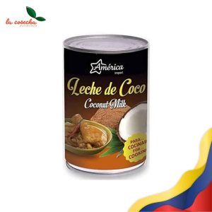 LECHE COCO AROYD 500ML X 24